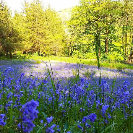 Lobhill Farmhouse Bed And Breakfast And Self Catering Accommodation Okehampton Eksteriør billede
