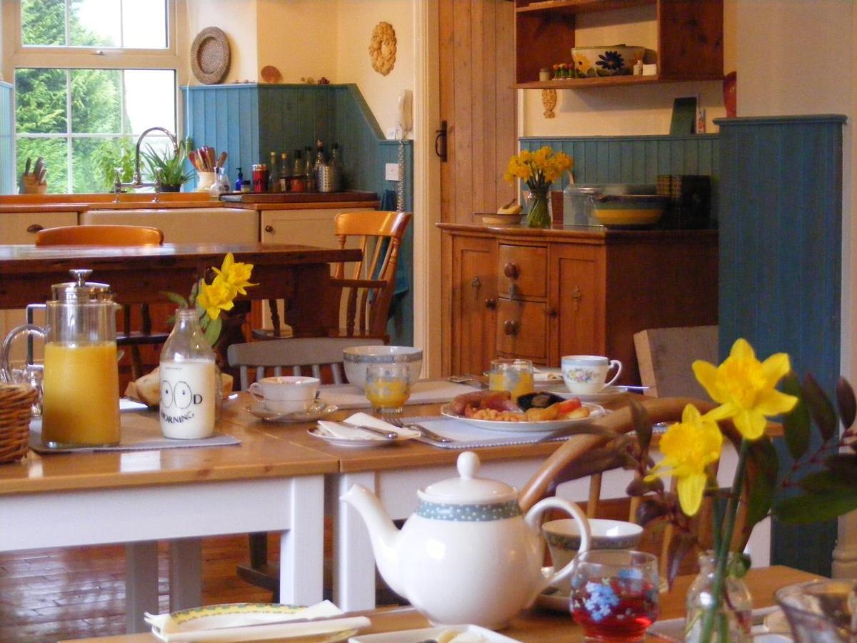 Lobhill Farmhouse Bed And Breakfast And Self Catering Accommodation Okehampton Eksteriør billede