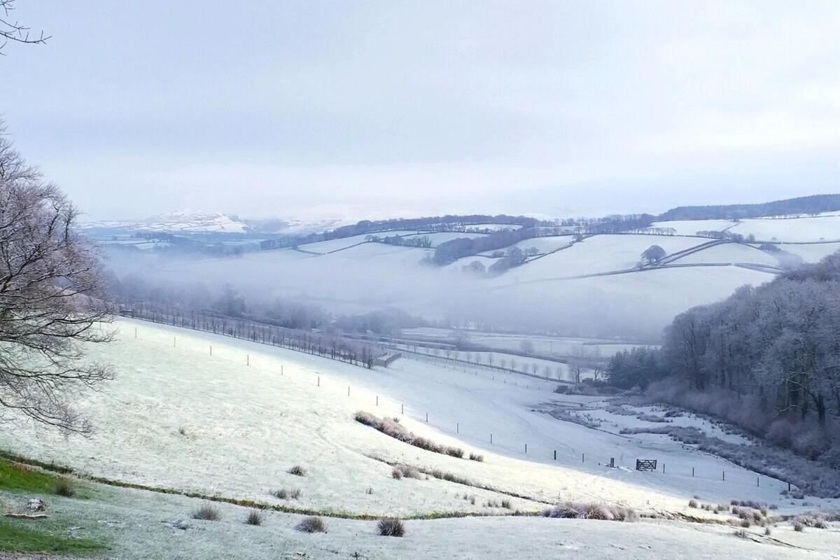 Lobhill Farmhouse Bed And Breakfast And Self Catering Accommodation Okehampton Værelse billede